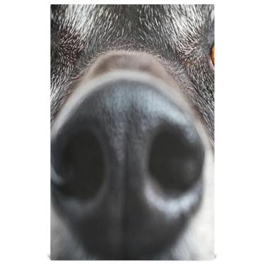 Imagem de Joisal Engraçado nariz de cachorro close-up panos de prato decorativos coloridos para cozinha toalhas de chá de mão fofas para secar pratos macios absorventes 45 x 71 cm, pacote com 4