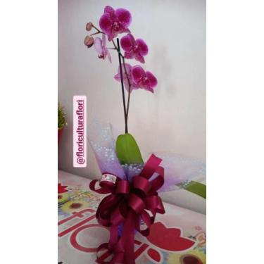 Imagem de Arranjo De Orquídeas Naturais - Floricultura Flori