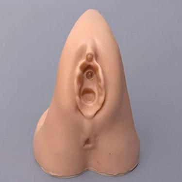 Imagem de Modelo de anatomia, montagem de órgão reprodutivo feminino modelo anatômico cateterismo demonstração modelo de anatomia para prática de traning modelo de auxílio de enfermagem materiais educacionais