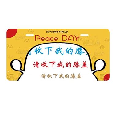 Imagem de DIYthinker Palavras chinesas mostram sua admiração a alguém placa de carro decoração dia da paz