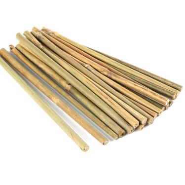 Imagem de Pllieay 20 estacas de bambu espessas naturais de 20 cm para suporte de plantas de jardinagem interna