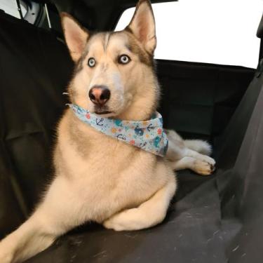 Imagem de Capa Protetora Banco e Lateral Carro Pet Cão Gato com Cinto - Supri La
