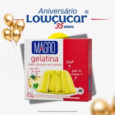 Imagem de Gelatina Magro com Sucralose Sabor Abacaxi com Hortelã 10g