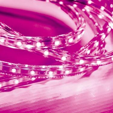 Imagem de Kit 10 Metros Fita Led Taschibra 5w/m Ip67 220v Alta Proteção Rosa