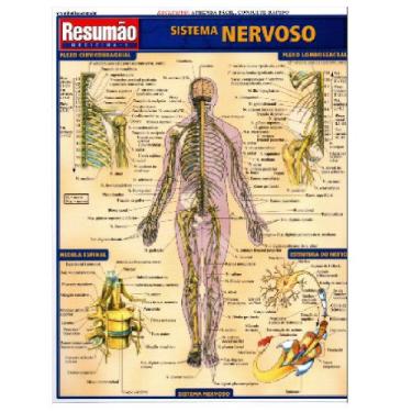 Imagem de Resumão Sistema Nervoso - BFeA