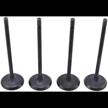 Imagem de Válvula admissão Renault Oroch 2015 a 2022 Metal Leve