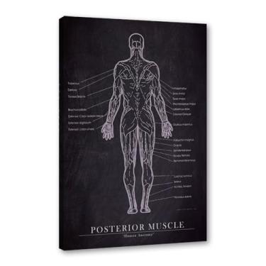 Imagem de Arte de anatomia humana, pintura em tela médica, vintage, esqueleto muscular, educação, pôster, impressão de imagem de parede, decoração de clínica hospitalar (SKU2,8 x 30,5 cm = (20 x 30 cm