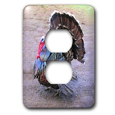 Imagem de 3dRose LLC lsp_4042_6 Wild Turkey, 2 plugues de tomada