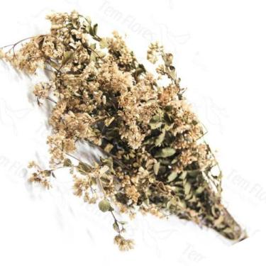 Imagem de Chuvisco Flor Desidratada Buque Flores Secas - Pense Flores, Natural