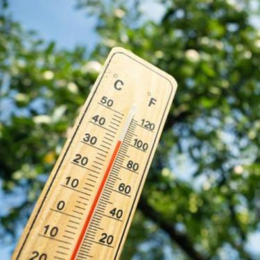 Imagem de Termômetro parede madeira interior Casa Sauna Graus Util - good home