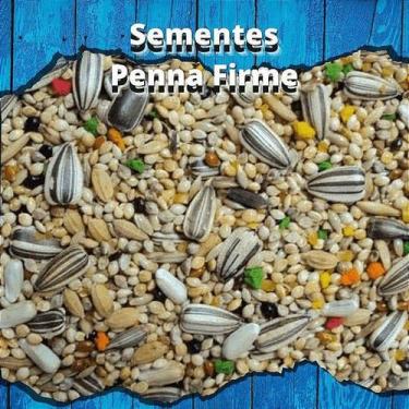 Imagem de Mistura de Sementes Calopsitas e Agapornis 1kg - MS