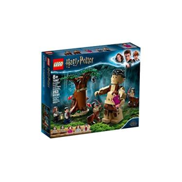 Imagem de Lego Harry Potter A Floresta Proibida: O Encontro de Umbri 75967