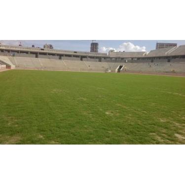 Imagem de Sementes De Grama Bermudas de 2 kg campo - Realpecuaria