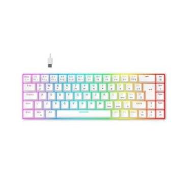 Imagem de Teclado Mecânico Gamer Hyrax Thunder Pro, Switch Huano RGB Layout 65% USB-C ABNT2 HCK65...