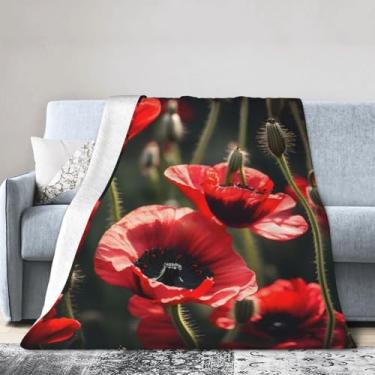 Imagem de Cobertor grande super macio, confortável e quente para cama, sofá e viagens