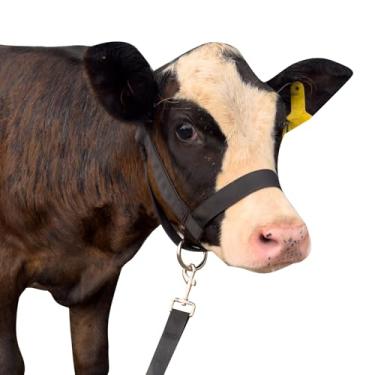 Imagem de Cabresto de vaca de nylon, cabeçote de bezerro de gado, equipado com corda de tração, comprimento ajustável para gado, adequado para gado grande e pequeno, burros, cabras, cavalos e aves (preto, M)