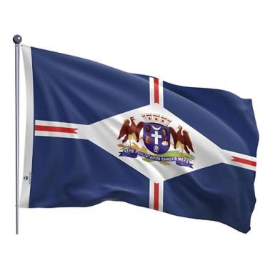 Imagem de Bandeira do Município de Guarulhos Uma Face Estampada Tamanho 70x100cm