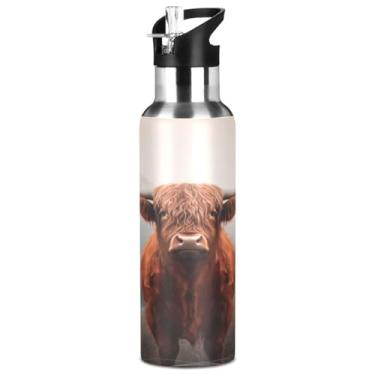 Imagem de Burbuja Garrafa de água de aço inoxidável Highland Cow, garrafas de água isoladas a vácuo com tampa de canudo para esportes, academia, escola - à prova de vazamento e suor, sem BPA, 946 ml