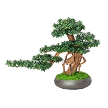 Imagem de Bonsai de planta de simulação de mesa enfeites chineses de pinheiro falso para sala de estar, entrada, decoração em vaso verde
