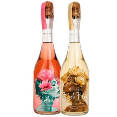 Imagem de Kit 2 Espumantes Stefanello Blush Brut Chardonnay & Moscatel Rosé 750m
