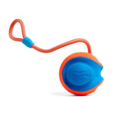 Imagem de Chuckit! Brinquedo para cães Rope Fetch para uso interno e externo, tamanho único (paco...