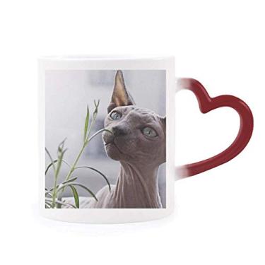 Imagem de Caneca de grés com foto de gato fina cinza animal sensível ao calor muda de cor vermelha