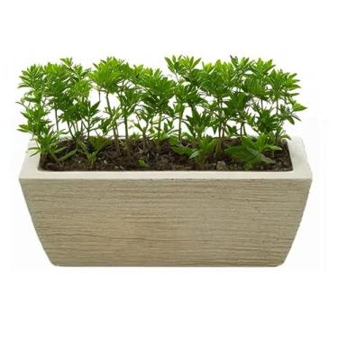 Imagem de Vaso jardineira floreira pequena decorativo luxo polietileno textura grafiato (BEGE)