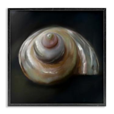 Imagem de Stupell Industries Arte giclée emoldurada preta do tesouro do mar concha em redemoinho, design de Mary Sparrow, 43 x 43 cm