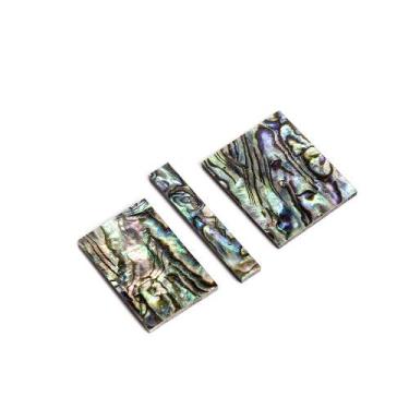 Imagem de Marcador Para Escala Abalone (10 Unidades) Spirit AP48-ABP - SPIRIT GU