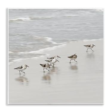 Imagem de Stupell Industries Desenho artístico de placa de parede Pássaros Sandpiper Scurrying por Natalie Carpentieri, 12 x 12