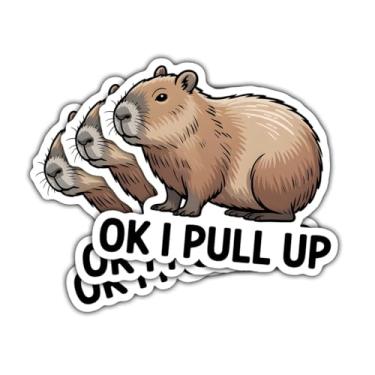 Imagem de 3 pçs Ok I Pull Up Capybara Meme Sticker, decalque de vinil engraçado com citação animal para amantes de capivara, adolescentes, adultos, laptop, carro, garrafa hidráulica, garrafa de água, caderno