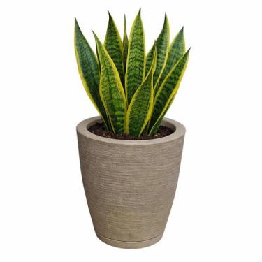 Imagem de Vaso para Plantas Decorativo em Polietileno Coluna Bojo Escovado C/ Pr
