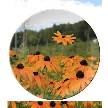 Imagem de Prato de brocado laranja dourado decorativo de porcelana Salver louças de jantar