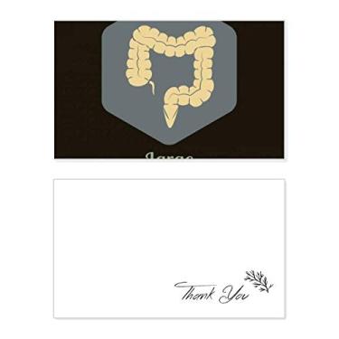 Imagem de Órgãos corporais, cartão de agradecimento para intestinos grandes, papel de aniversário, agradecimento de casamento