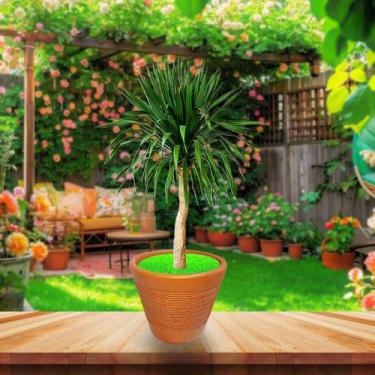 Imagem de Vaso Para Orquídeas De Barro em Alta qualidade Cerâmica Planta Grande 