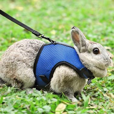 Imagem de Peitoral de coelho Pettom Bunny com correia elástica, lindo colete de malha respirável com fivela ajustável para gatinhos pequenos animais de estimação caminhando (G(Peito: 29-35 cm), azul)