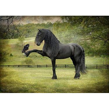 Imagem de Faca para Descascar Frutas 3 polegadas lâmina em aço inoxidável, polido e temperado cabo Vermelho Cross, ideal para frutas delicadas, Vermelho, Brinox