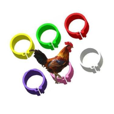 Imagem de 5JJJLOOOPP Anel de Pé de Pássaro Anel de Pé de Pato Pé de Pato e Pomba Anel de Treinamento Digital Plástico Pomba Vermelha (Cor Mista Nº 0 01-500) 8 mm Cor mista 001-100 (cor mista001 100)