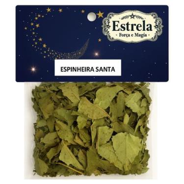 Imagem de Erva Espinheira Santa na Umbanda e Candomblé  Purificação  Equilíbrio 