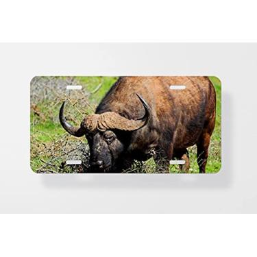 Imagem de Capa para placa de licença Buffalo – Capa para placa de carro – Capa para placa de carro 15 x 30 cm