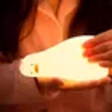 Imagem de Luminaria Quarto Infantil Pato 3 Intensidades Cor Da Cúpula Neutro Cor
