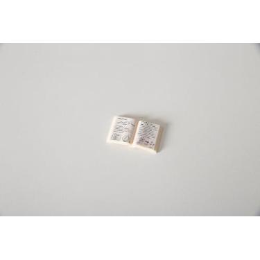 Imagem de Livro Aberto - Playmobil - Bonecos para Constelação Familiar