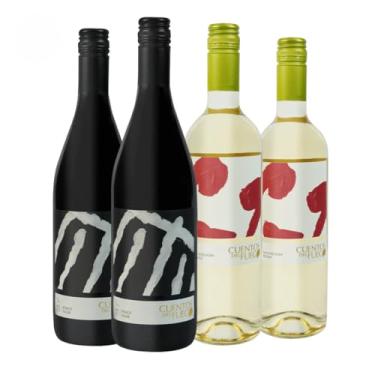 Imagem de Kit com 4 Vinhos Chilenos Tinto Seco Pinot Noir e Branco Seco Sauvignon Blanc 750ml