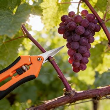 Imagem de Tesoura de jardinagem, podador manual, tesoura de poda com lâminas retas de aço inoxidável, ferramentas de jardim para mulheres e homens (laranja, 16,6 polegadas)