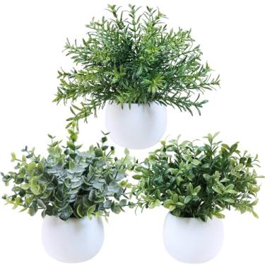 Imagem de Winlyn Conjunto de 3 pequenas plantas artificiais em vasos de concreto branco, eucalipto, alecrim, buxo, vasos sintéticos, plantas de escritório, 20 cm, para sala de estar interna, cozinha, balcão