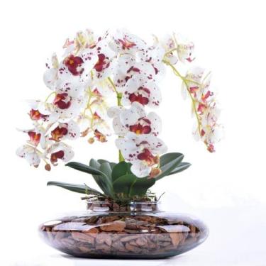 Imagem de Arranjo 4 Orquídeas Artificiais Tigre em Terrário Incolor Vicky