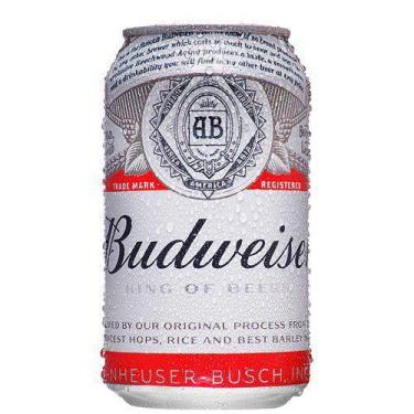 Imagem de Cerveja Budweiser Lata 350Ml - 6 unidades