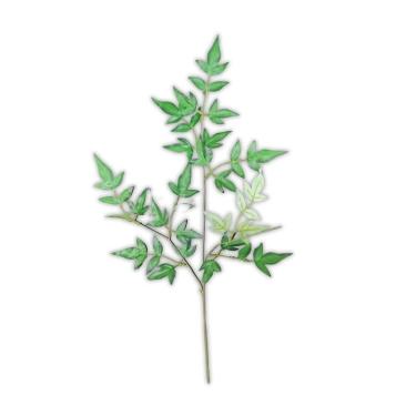 Imagem de Folha Artificial De Nandina 3 Galhos - 70cm