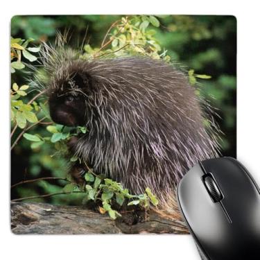 Imagem de Mouse pad 3D Rose "EUA Montana Kalispell. Porco-espinho e roseira" acabamento fosco - 20,3 x 20,3 cm - mp_231060_1