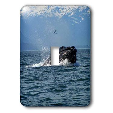 Imagem de 3dRose LLC lsp_21605_1 Baleia jubarte engolindo uma mordida de arenque do Oceano Pacífico no sudeste do Alasca Interruptor único